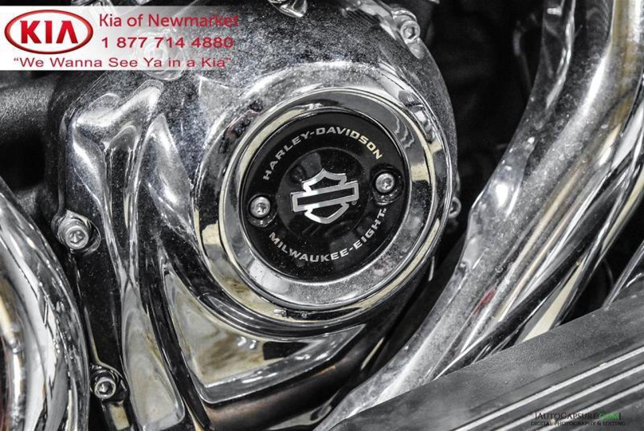 2019 Harley-Davidson Unlisted Item  Photo