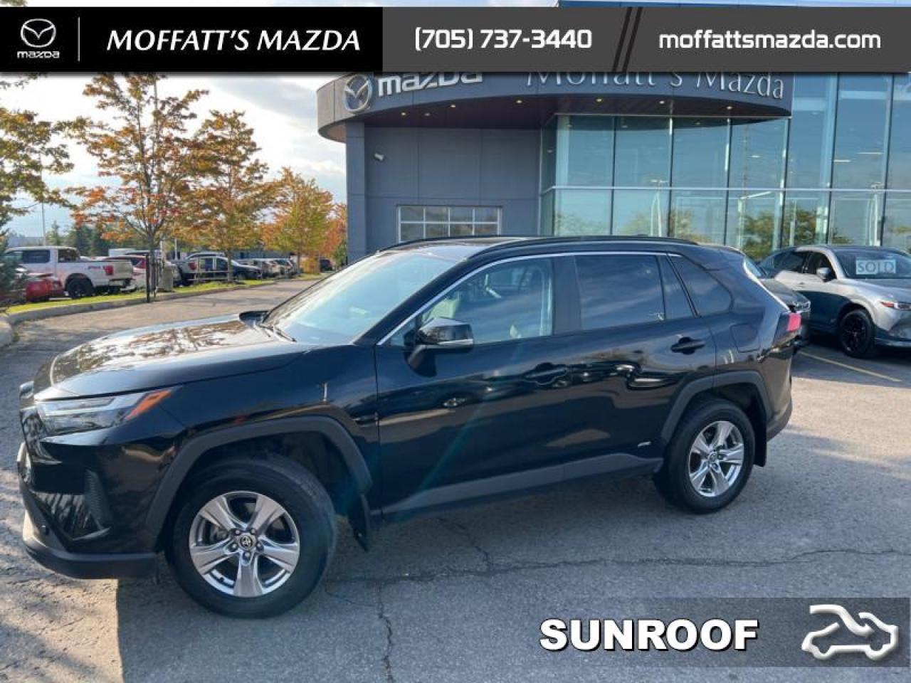 2023 Toyota RAV4 Hybrid XLE Photo