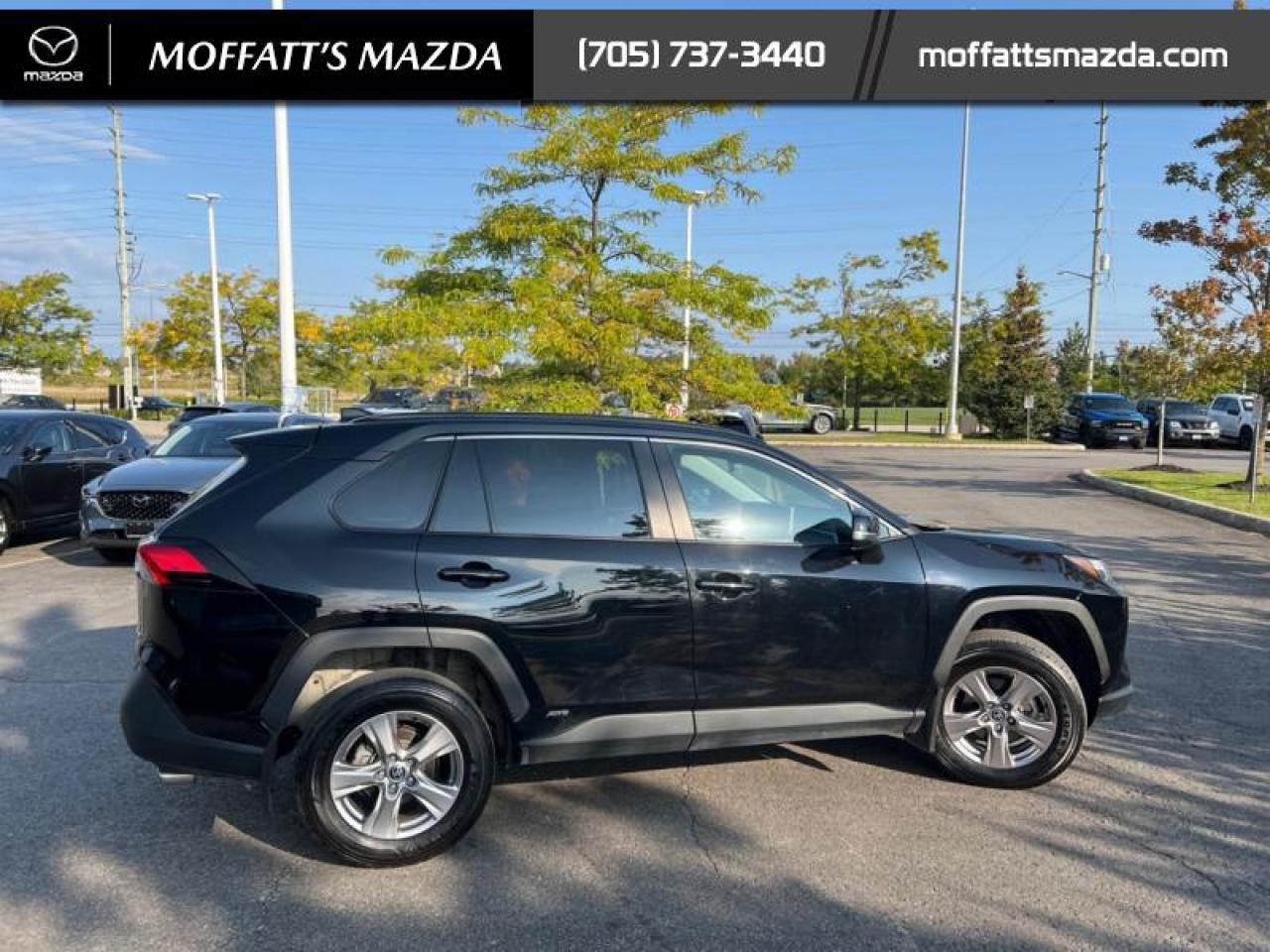 2023 Toyota RAV4 Hybrid XLE Photo