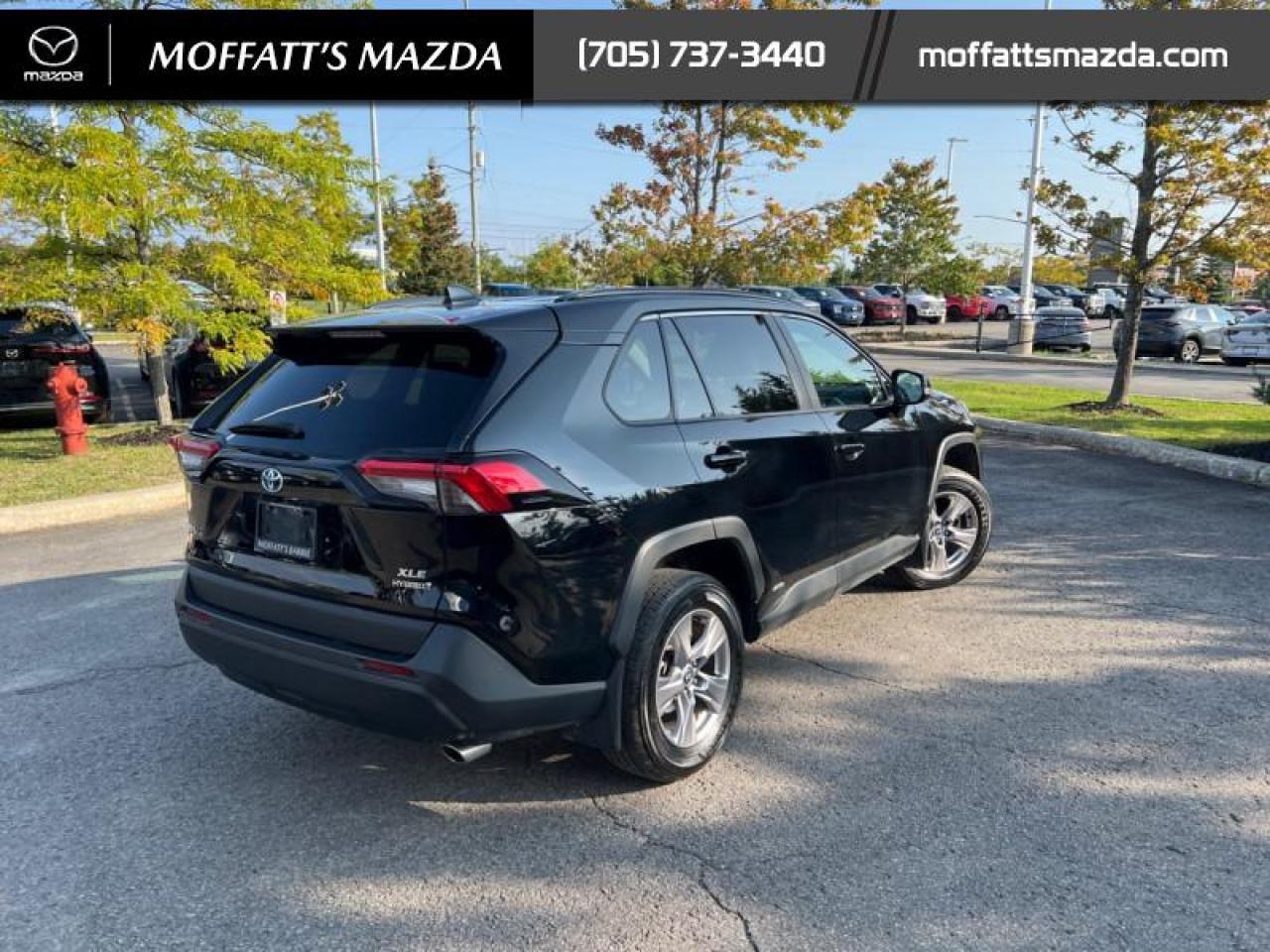 2023 Toyota RAV4 Hybrid XLE Photo