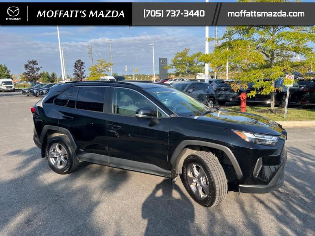 2023 Toyota RAV4 Hybrid XLE Photo