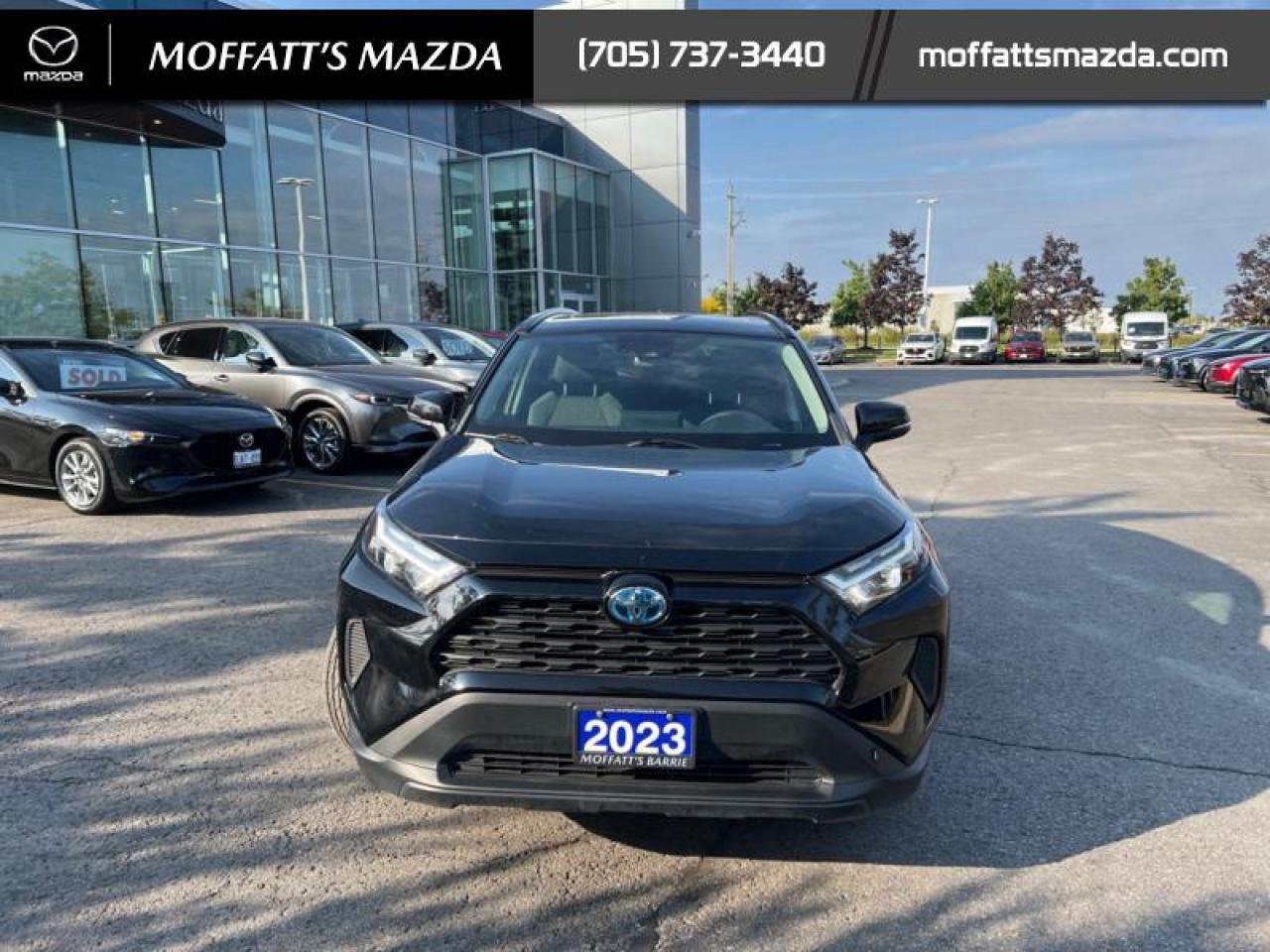 2023 Toyota RAV4 Hybrid XLE Photo