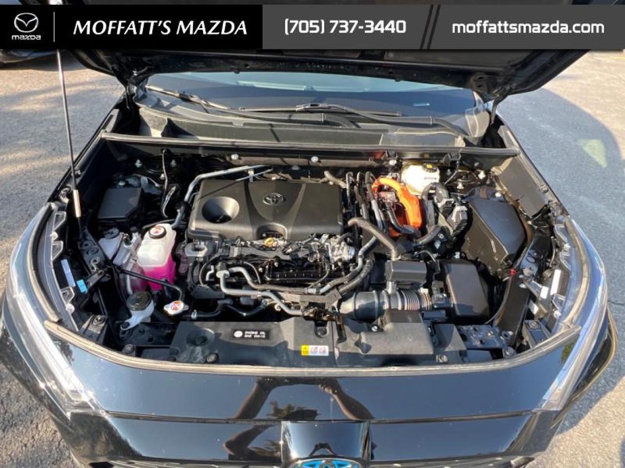 2023 Toyota RAV4 Hybrid XLE Photo