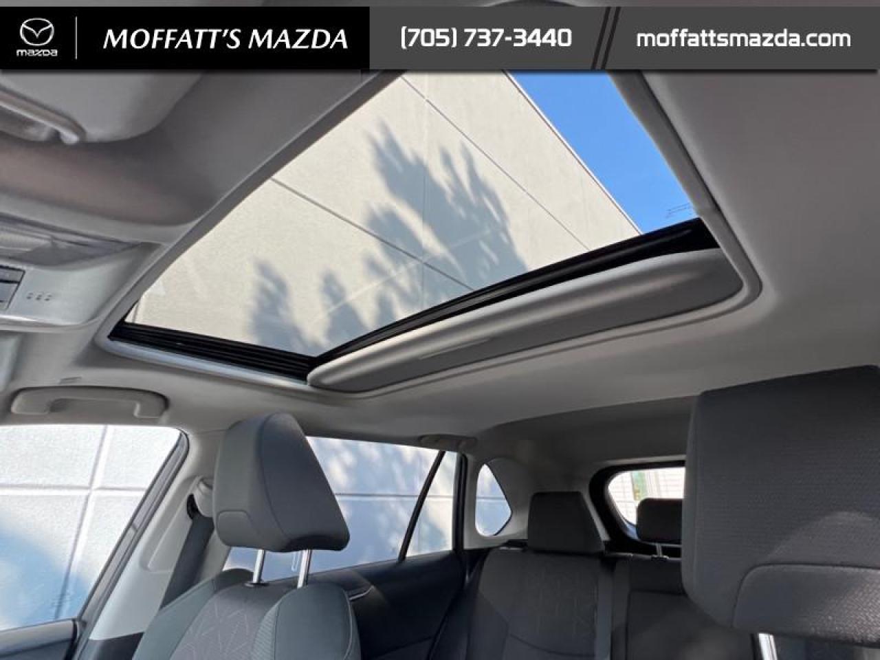 2023 Toyota RAV4 Hybrid XLE Photo