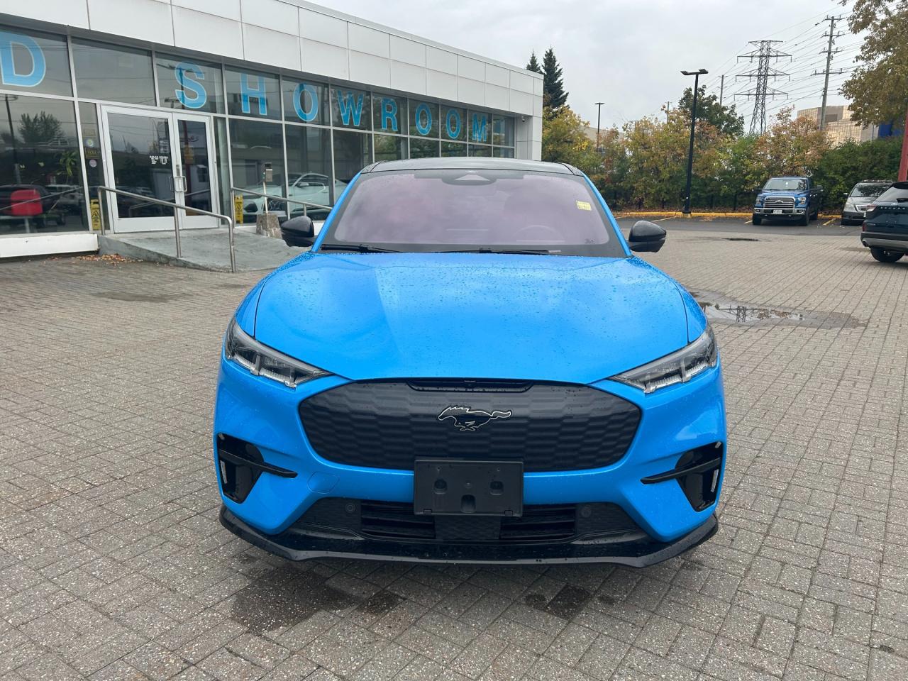 2022 Ford Mustang Mach-E GT Performance Edition 4dr All-Wheel Drive Photo