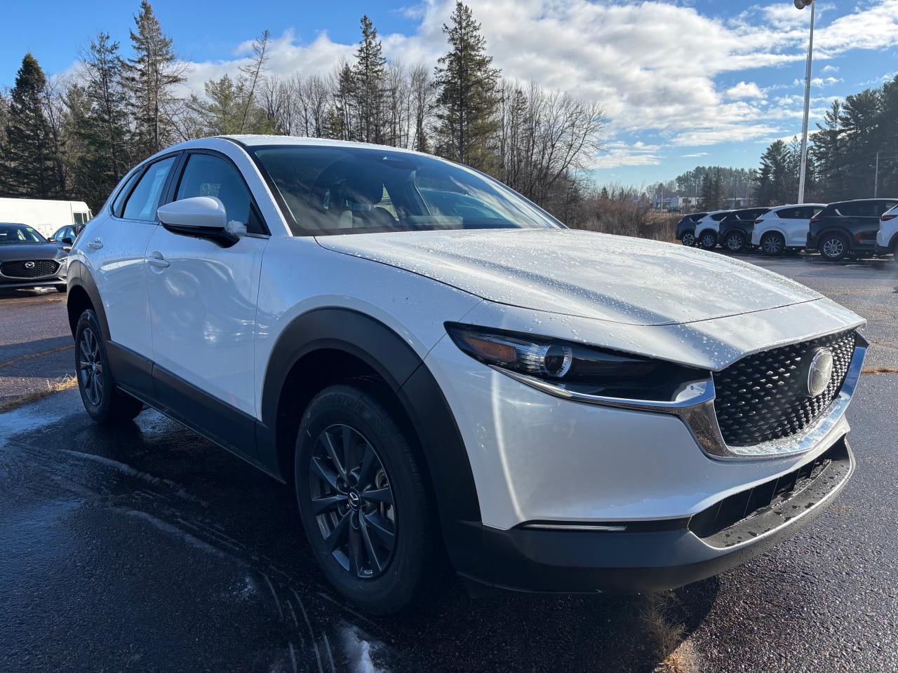 2025 Mazda CX-30 GX 4dr i-ACTIV All-Wheel Drive Sport Utility Photo