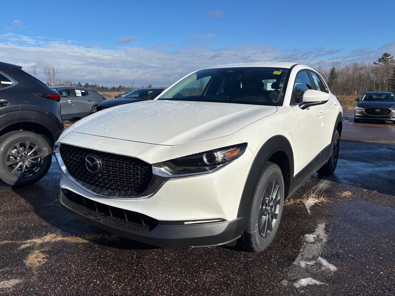 2025 Mazda CX-30 GX 4dr i-ACTIV All-Wheel Drive Sport Utility Photo0