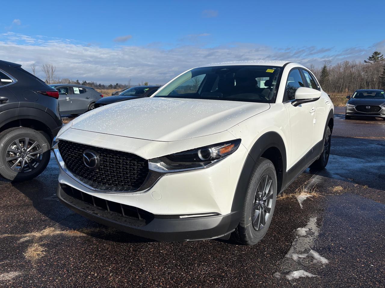 2025 Mazda CX-30 GX 4dr i-ACTIV All-Wheel Drive Sport Utility Photo0