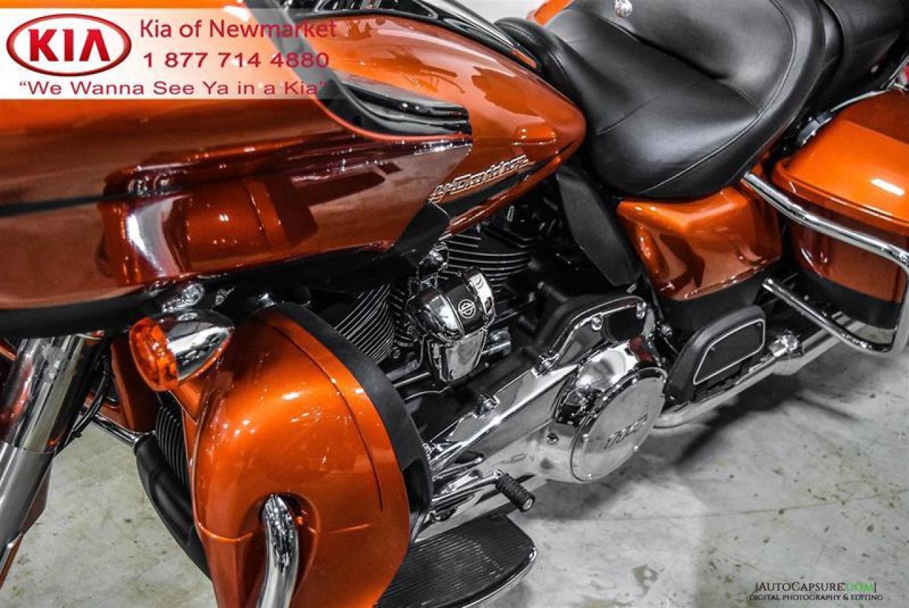 2019 Harley-Davidson Unlisted Item  Photo