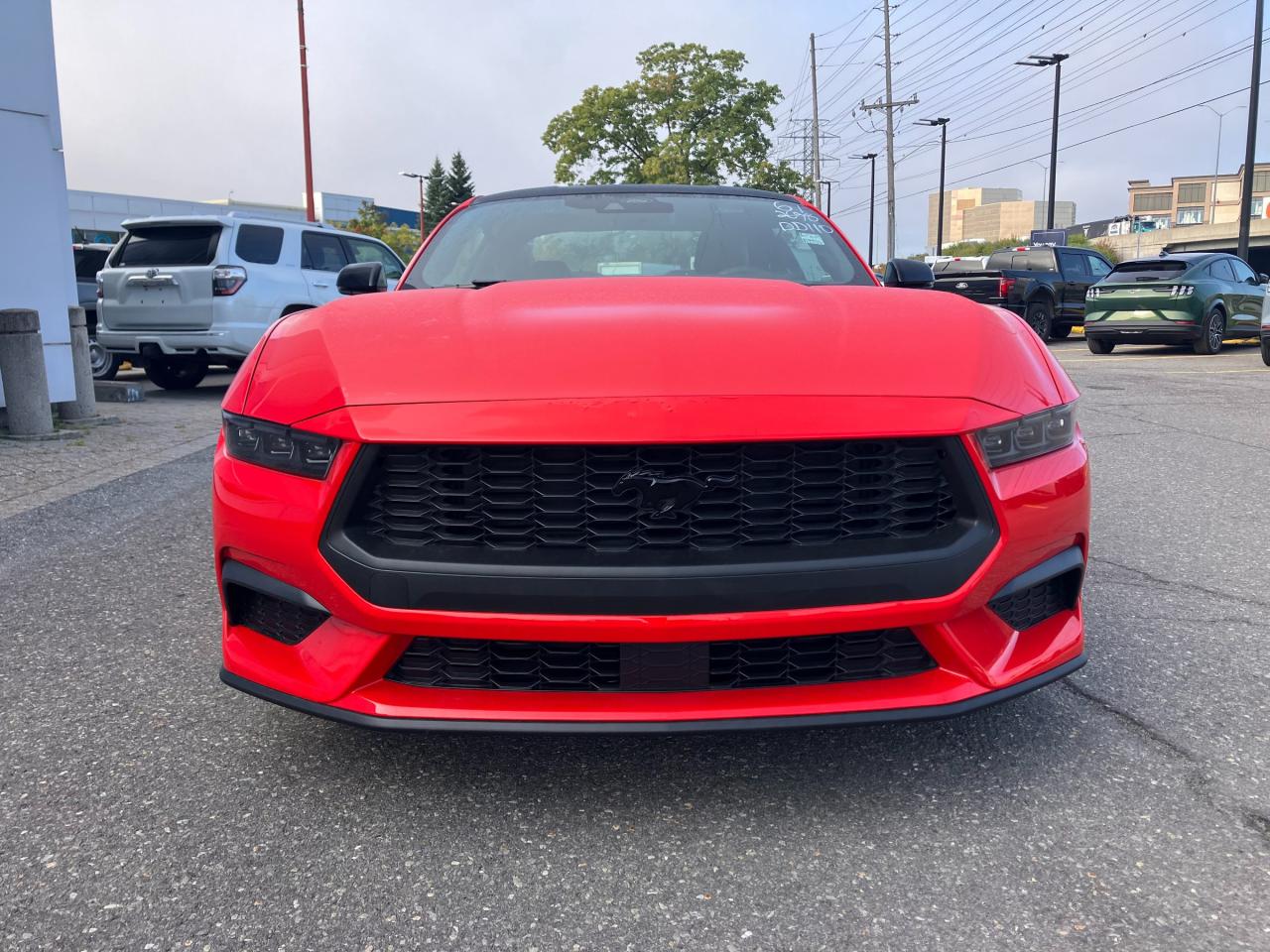 2025 Ford Mustang EcoBoost Premium 2dr Fastback Photo