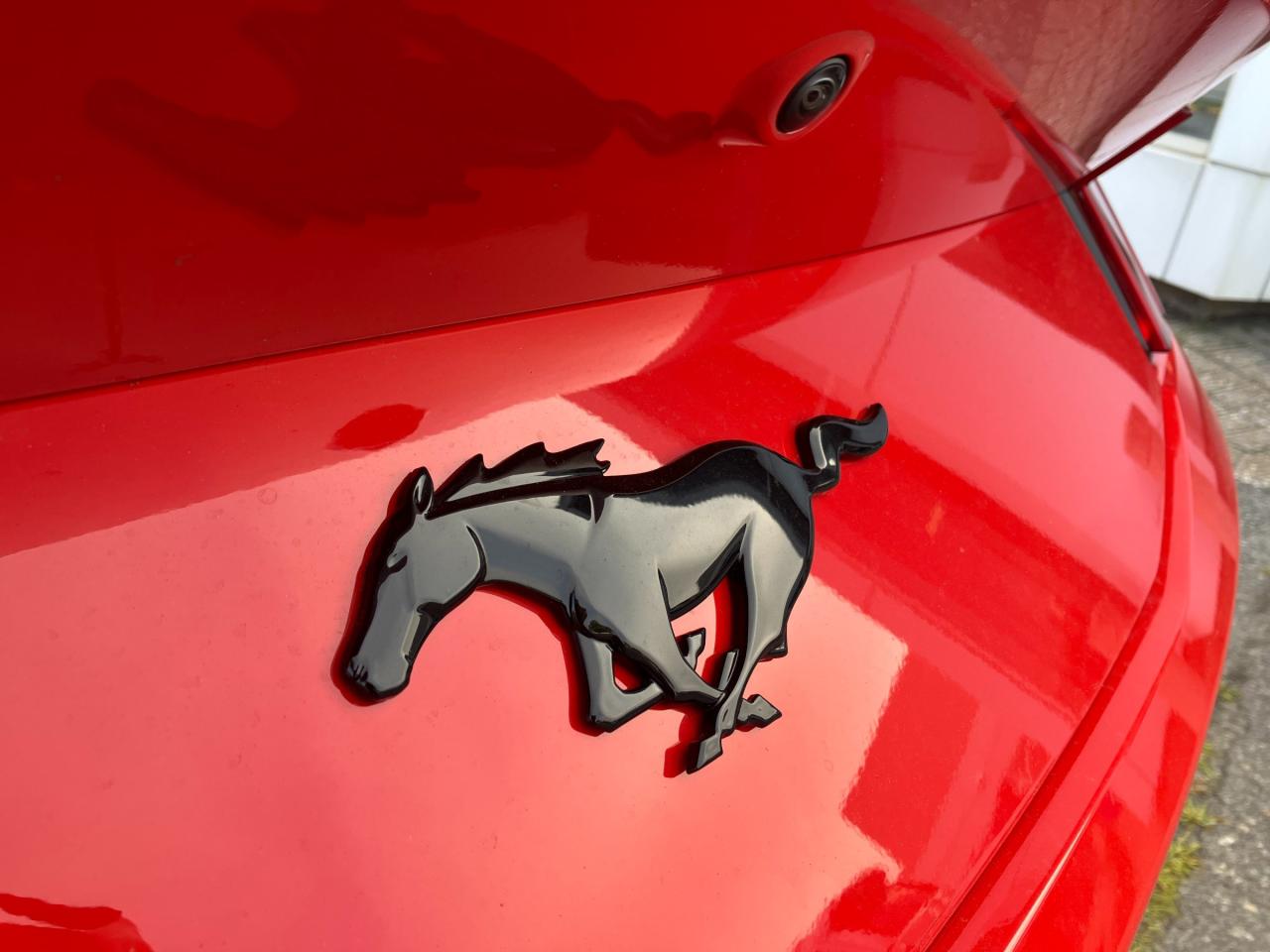 2025 Ford Mustang EcoBoost Premium 2dr Fastback Photo