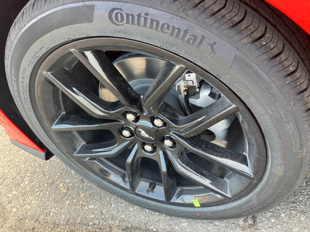 2025 Ford Mustang EcoBoost Premium 2dr Fastback Photo