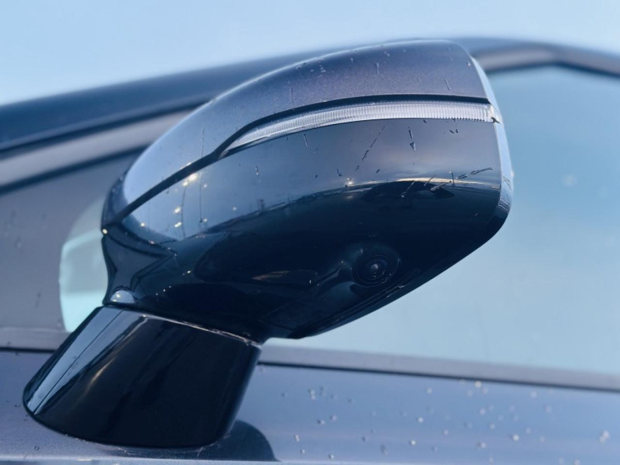 2023 Kia Carnival SX Photo