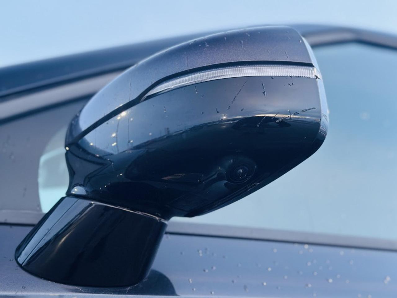 2023 Kia Carnival SX Photo