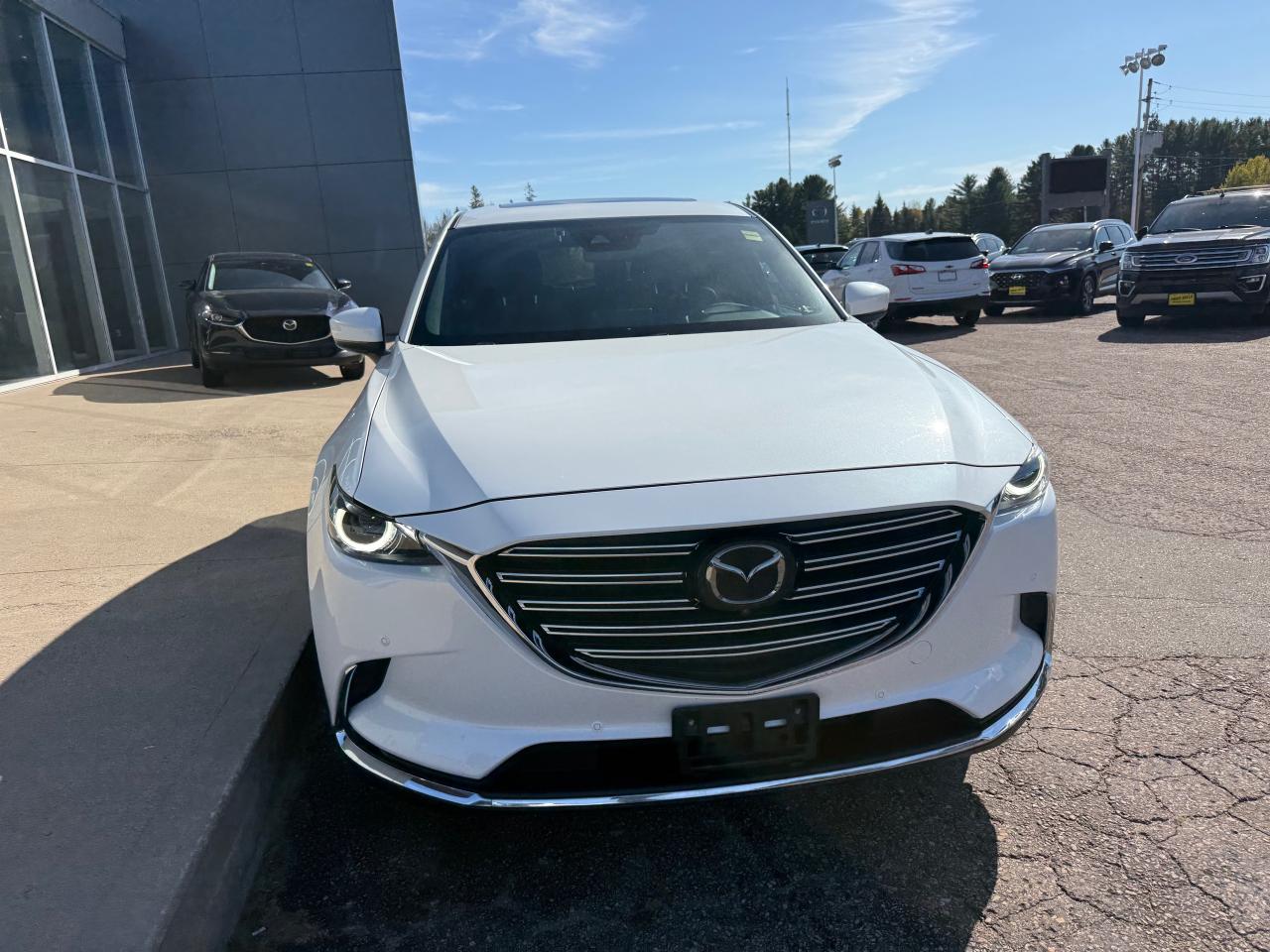 2021 Mazda CX-9 GT 4dr i-ACTIV All-Wheel Drive Sport Utility Photo