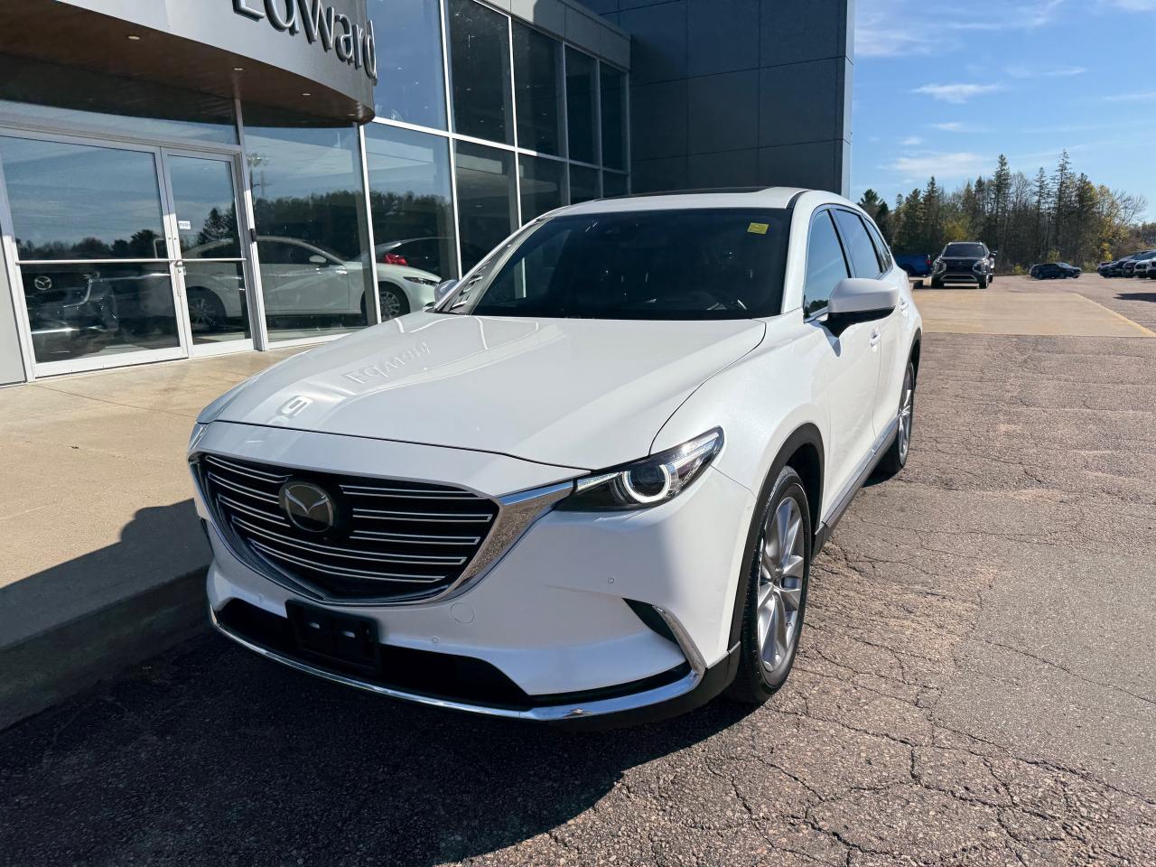 2021 Mazda CX-9 GT 4dr i-ACTIV All-Wheel Drive Sport Utility Photo3