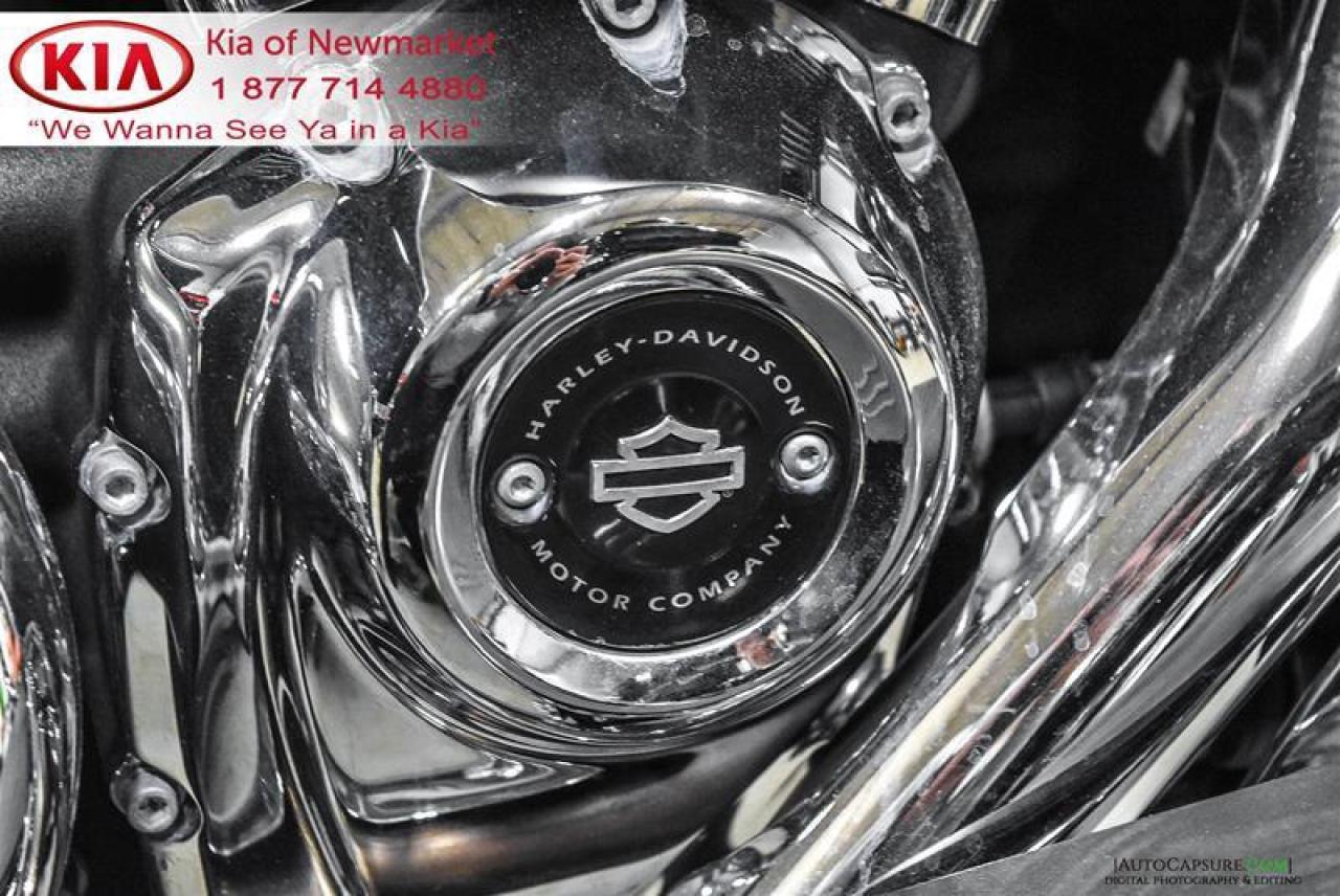 2017 Harley-Davidson Unlisted Item  Photo