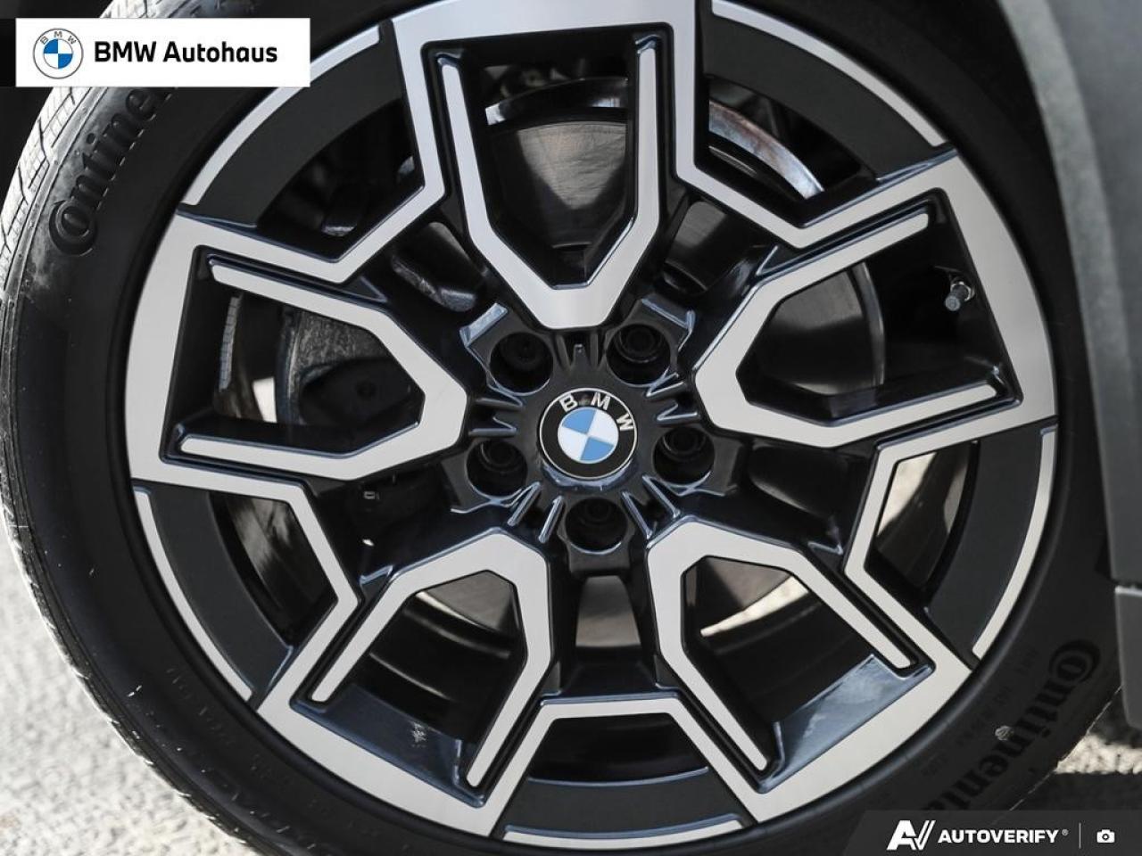 2025 BMW X2 xDrive28i Sports Activity Coupe Photo