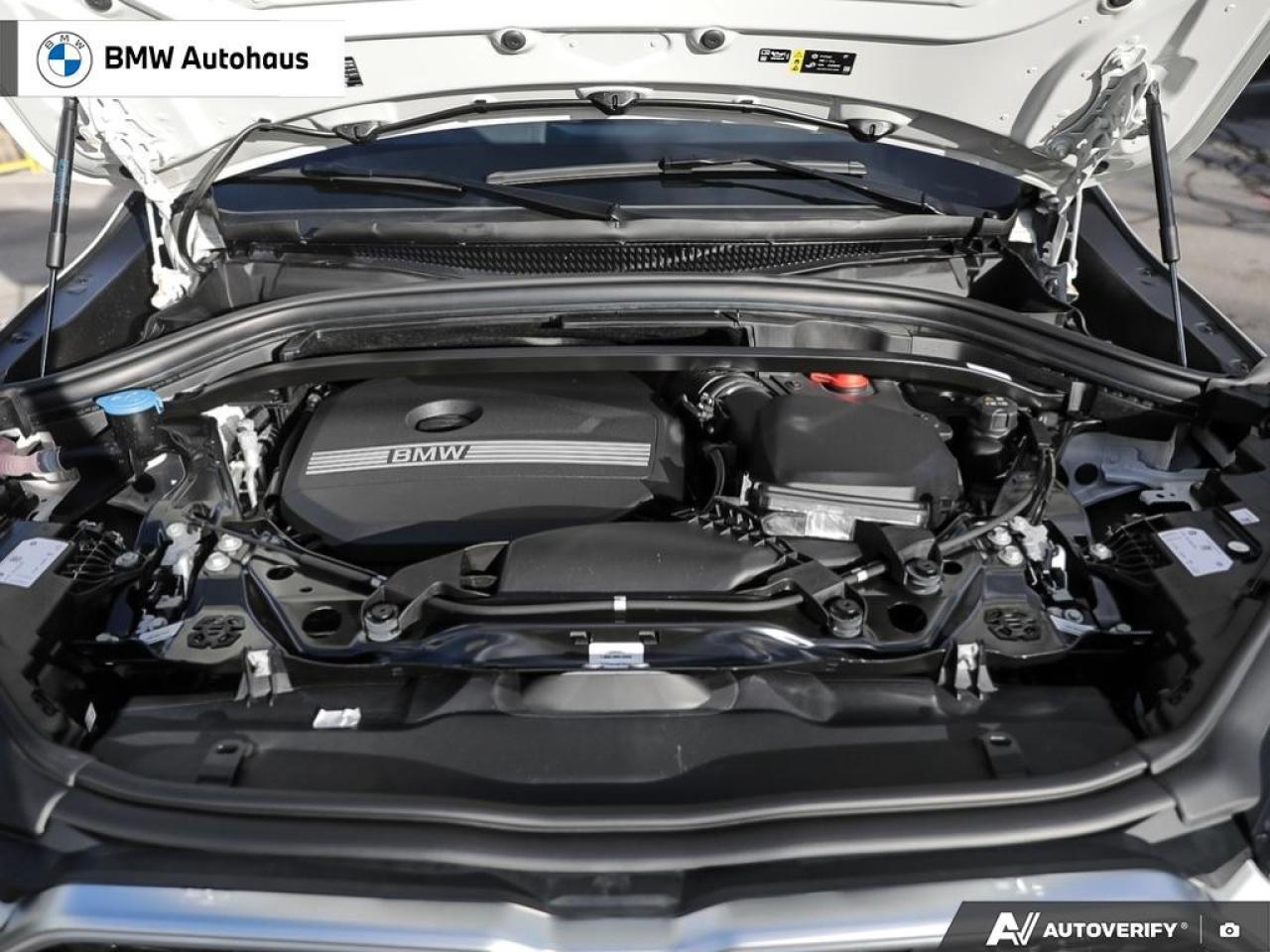 2025 BMW X2 xDrive28i Sports Activity Coupe Photo