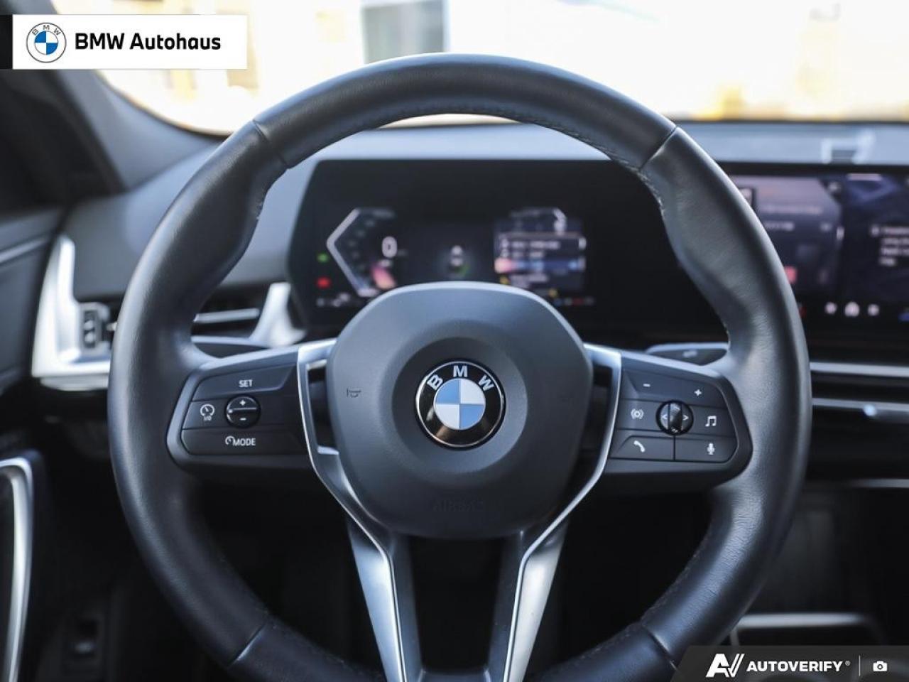 2025 BMW X2 xDrive28i Sports Activity Coupe Photo