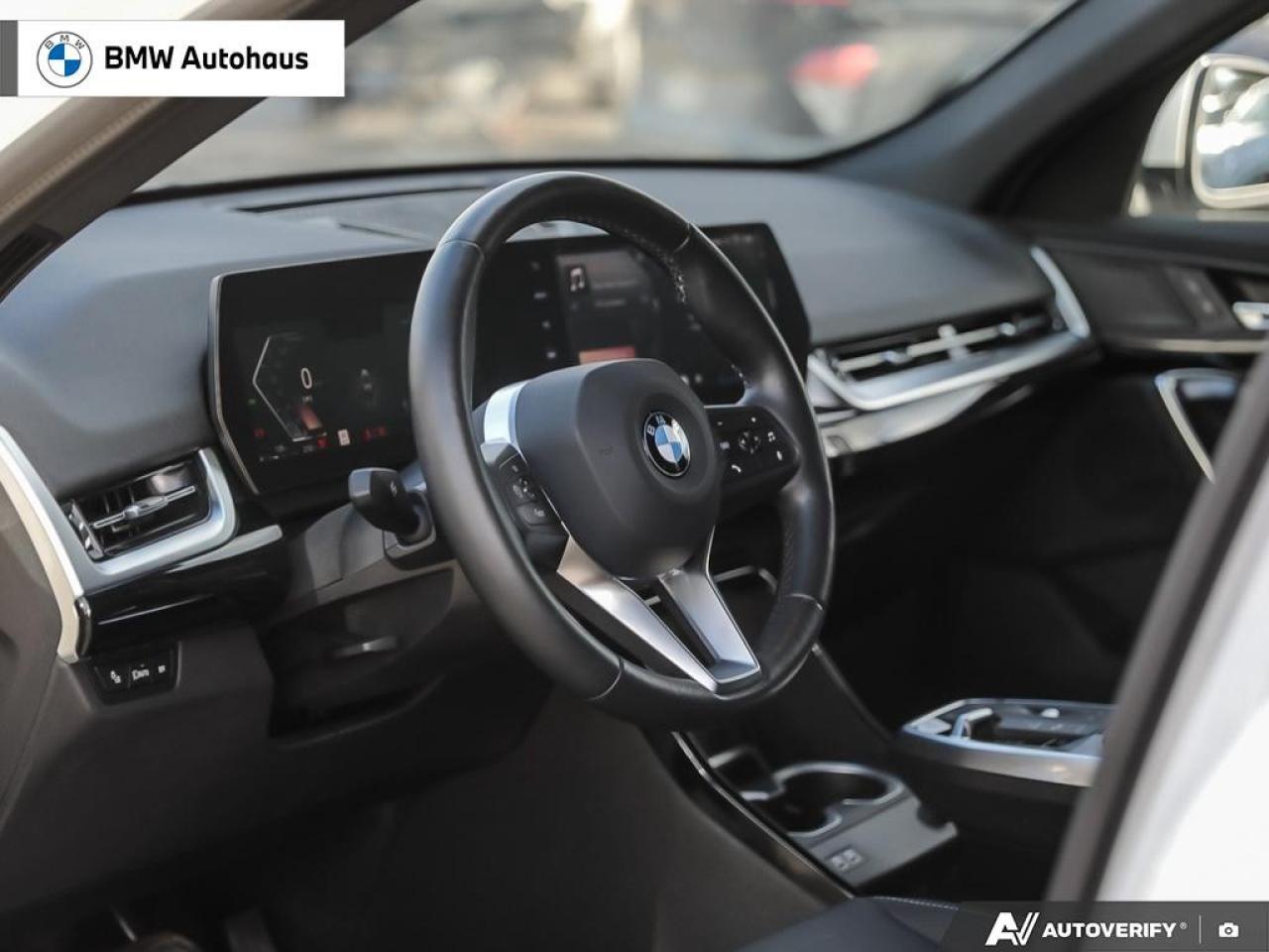 2025 BMW X2 xDrive28i Sports Activity Coupe Photo