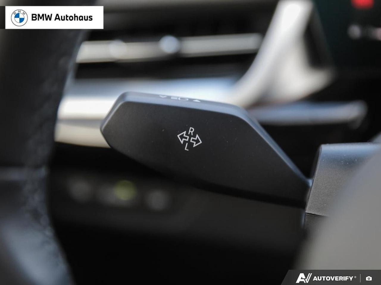 2025 BMW X2 xDrive28i Sports Activity Coupe Photo