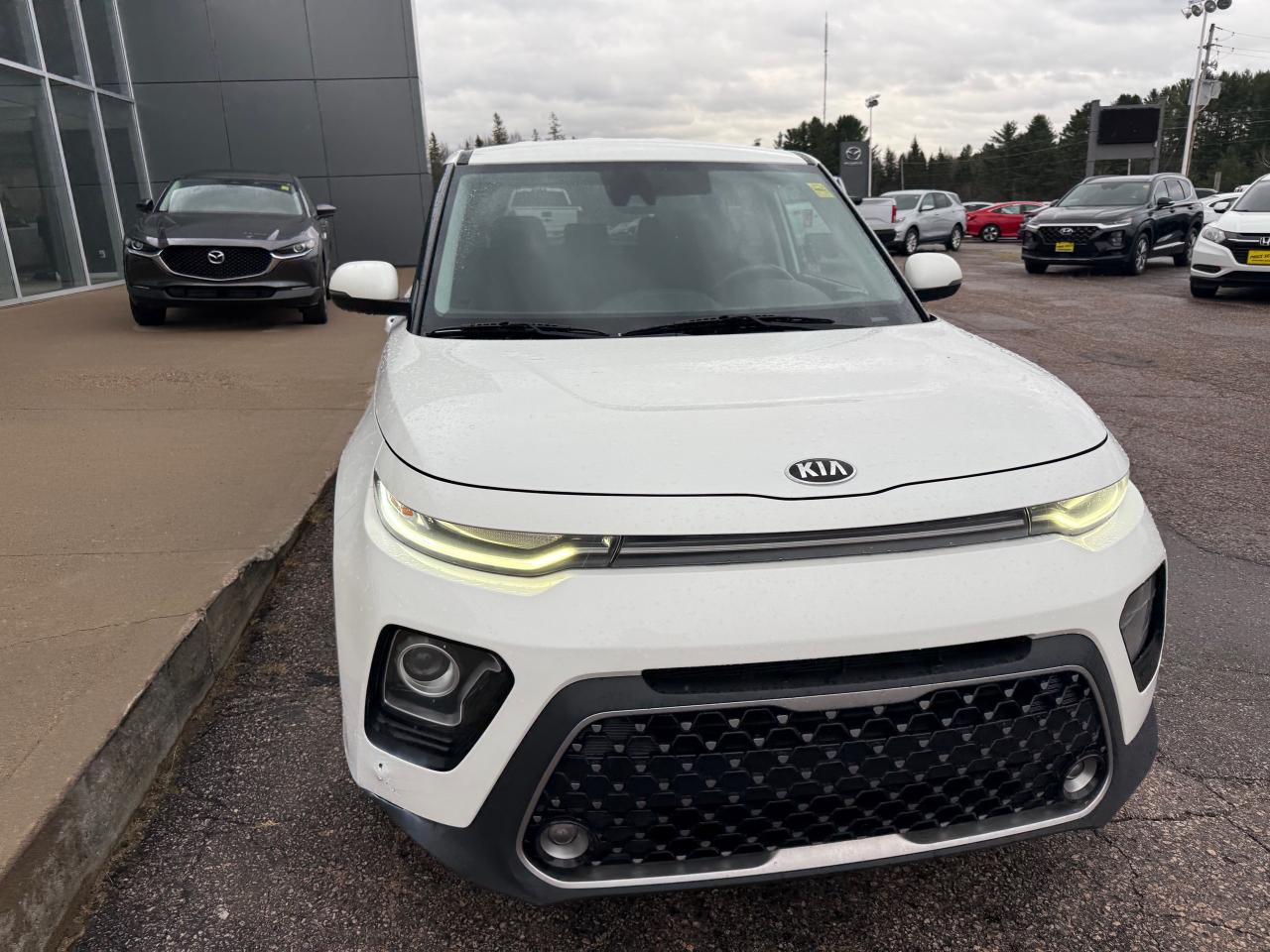2021 Kia Soul EX 4dr Hatchback Photo4