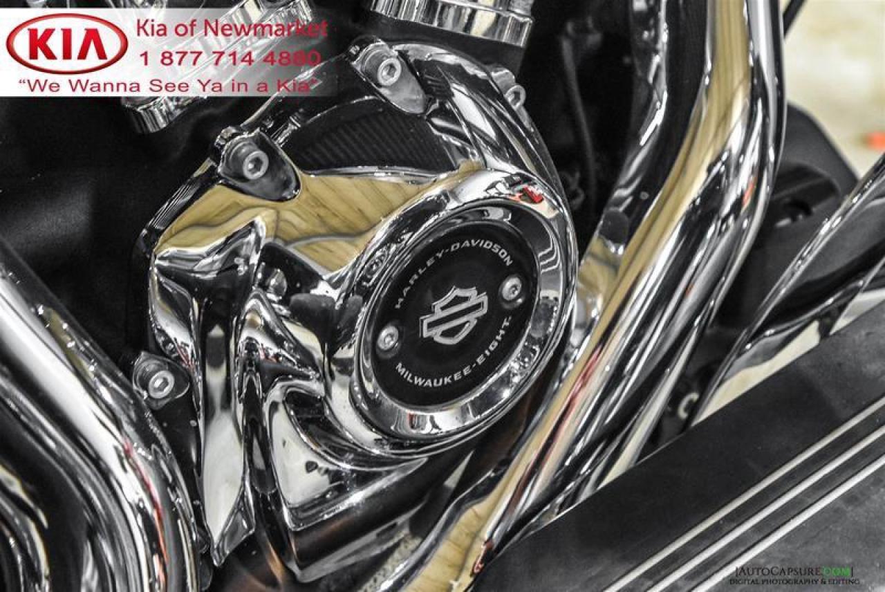 2019 Harley-Davidson Unlisted Item  Photo