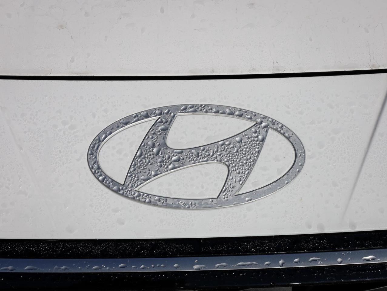 2025 Hyundai Elantra  Photo