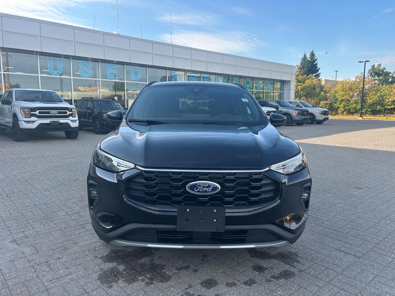 2025 Ford Escape ST-Line Select 4dr All-Wheel Drive Photo