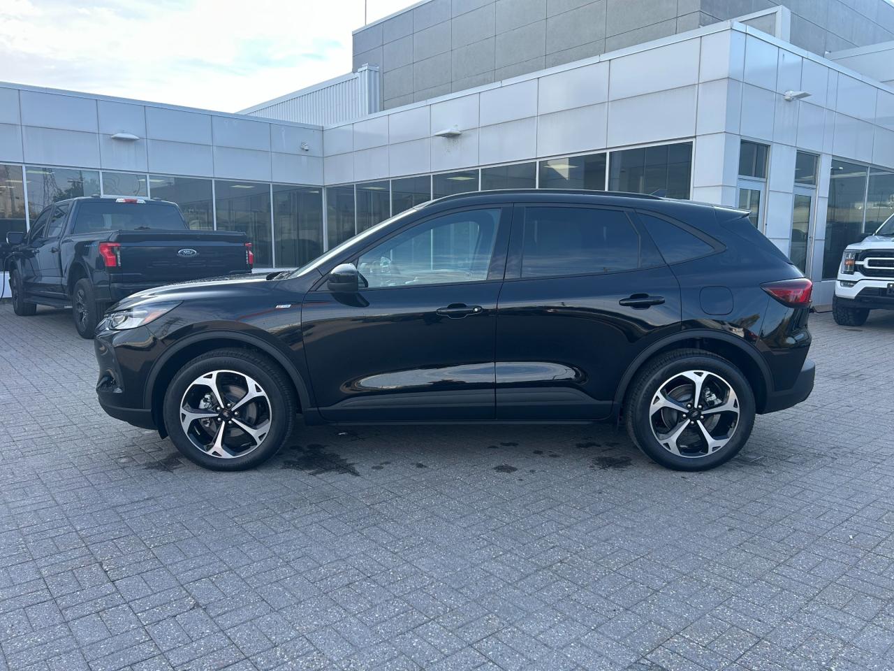 2025 Ford Escape ST-Line Select 4dr All-Wheel Drive Photo