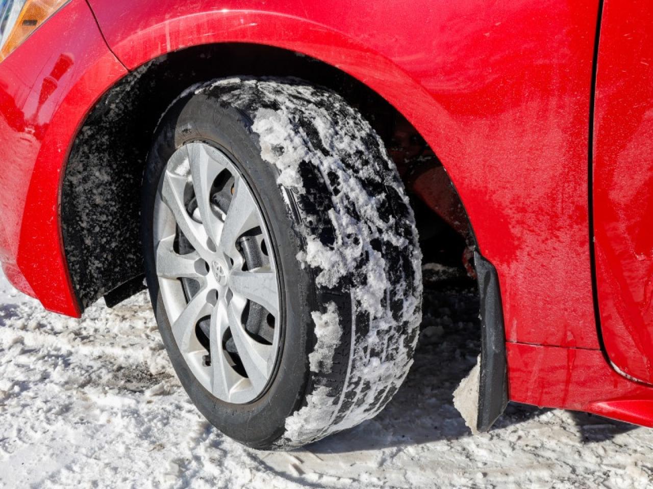 2020 Toyota Corolla LE Photo