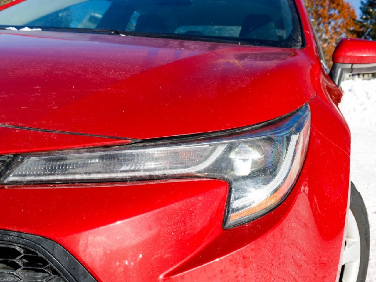 2020 Toyota Corolla LE Photo