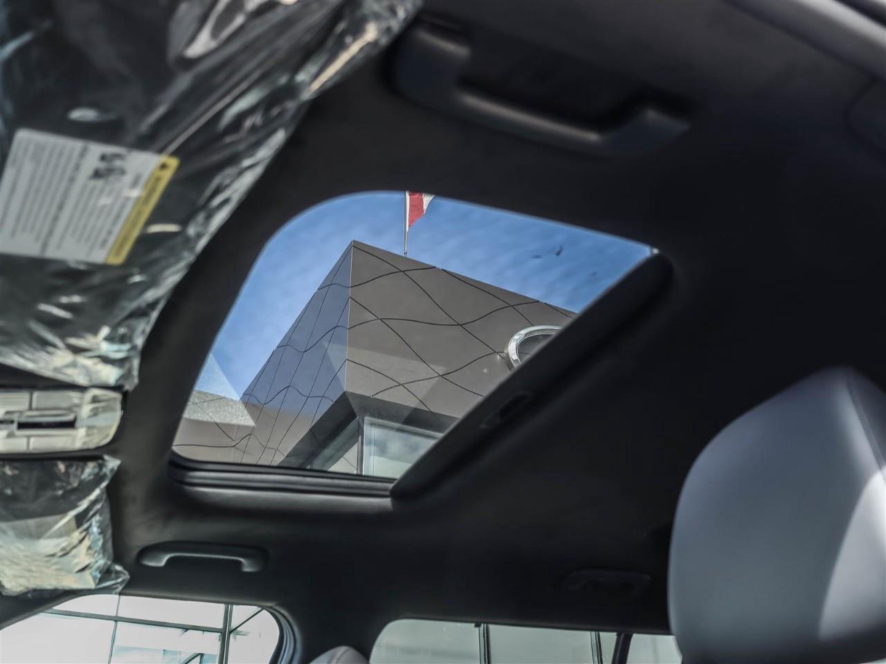 2025 Hyundai Santa Fe Ultimate Calligraphy 4dr All-Wheel Drive Photo