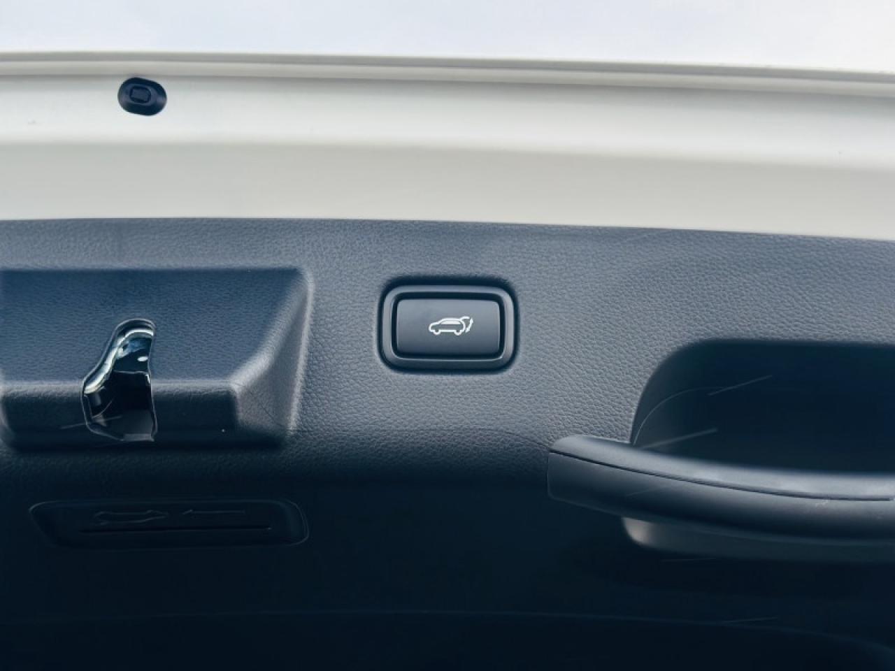 2026 Kia Seltos EX PREMIUM Photo