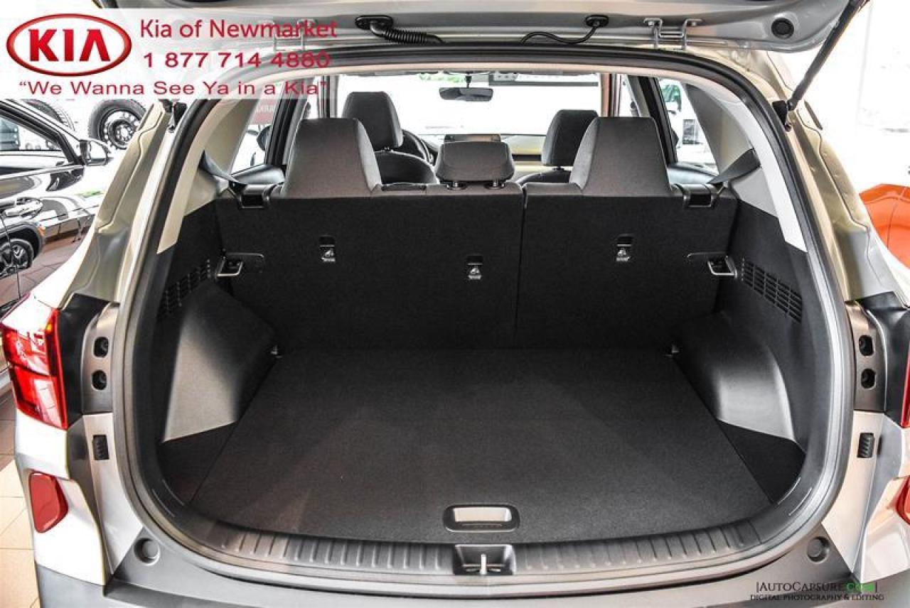 2021 Kia Seltos LX 4dr All-Wheel Drive Photo