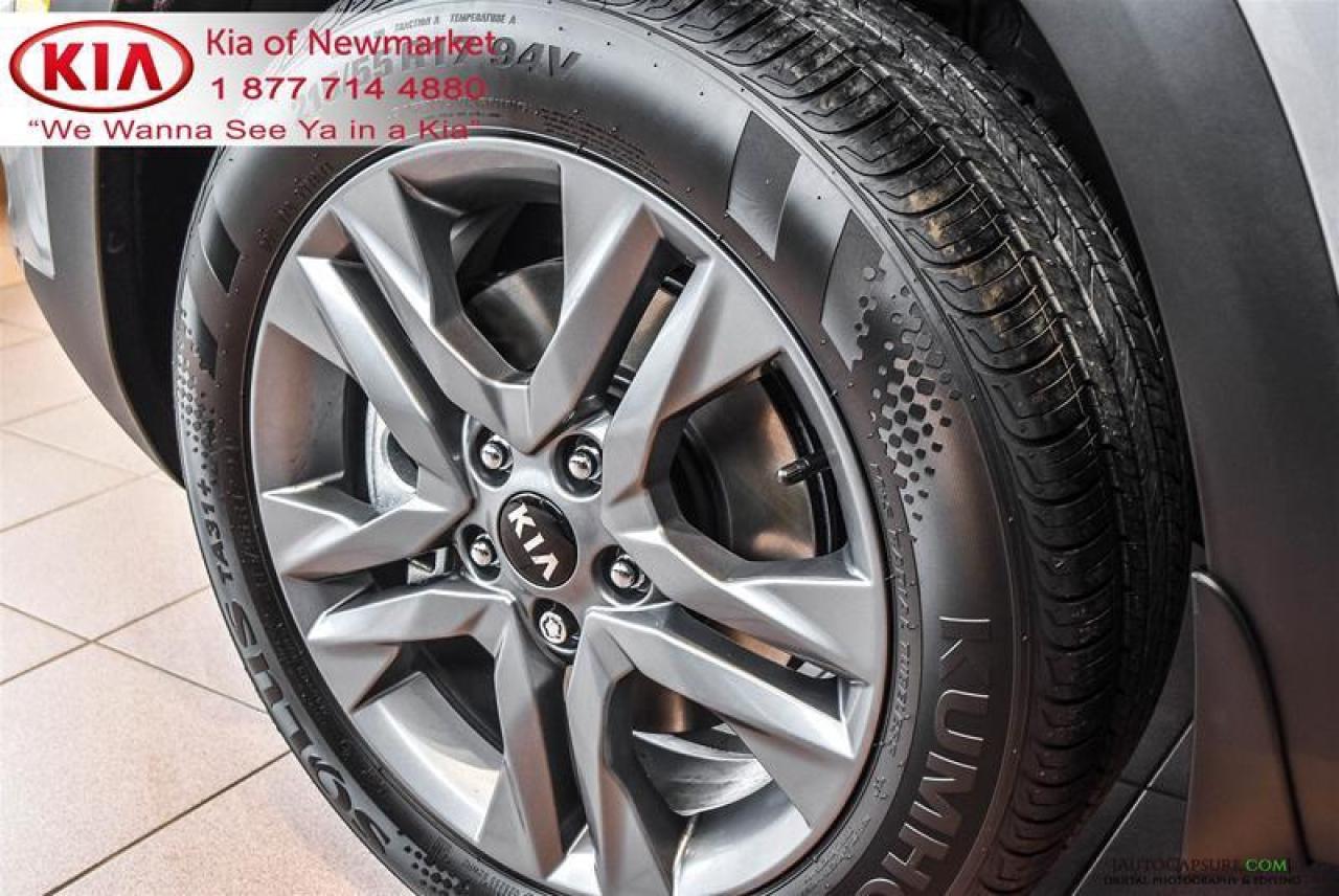 2021 Kia Seltos LX 4dr All-Wheel Drive Photo