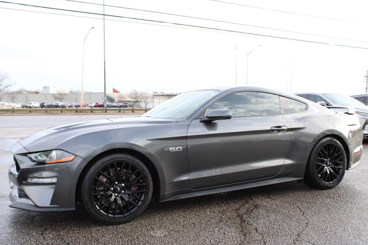 2018 Ford Mustang GT Premium Coupe   No Accident   Clean Carfax   Sa Photo