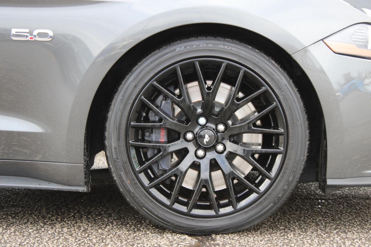 2018 Ford Mustang GT Premium Coupe   No Accident   Clean Carfax   Sa Photo