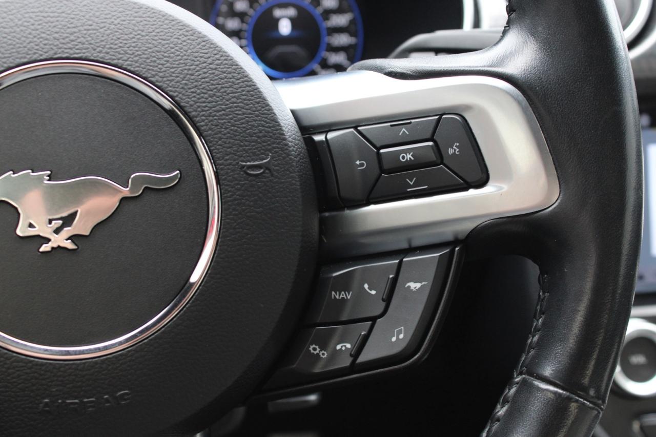 2018 Ford Mustang GT Premium Coupe   No Accident   Clean Carfax   Sa Photo