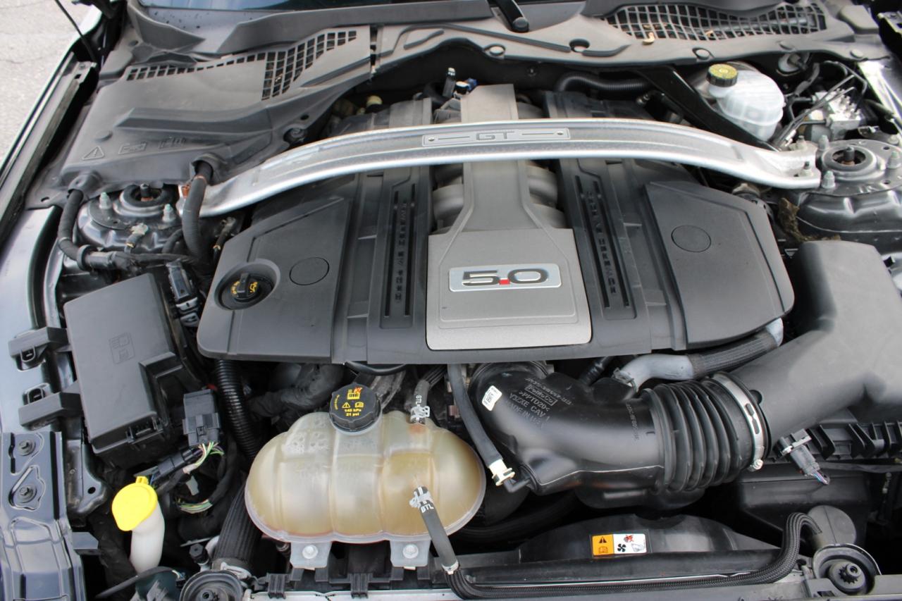 2018 Ford Mustang GT Premium Coupe   No Accident   Clean Carfax   Sa Photo