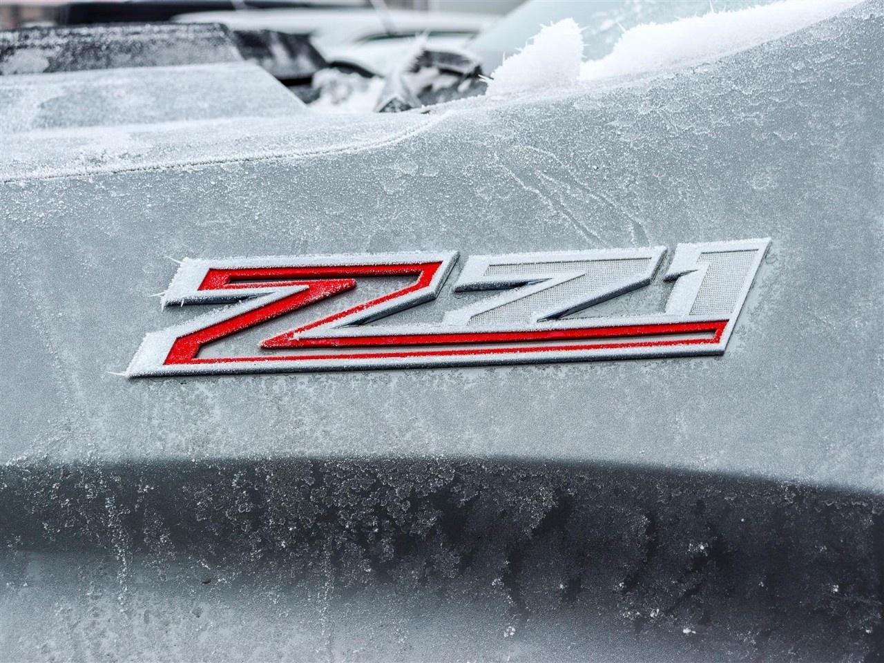 2026 Chevrolet Silverado 1500 Crew Cab Short Box 4-Wheel Drive LT Trail Boss Photo