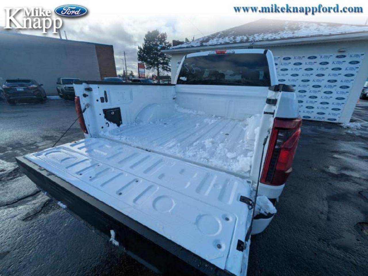 2025 Ford F-150 STX Photo