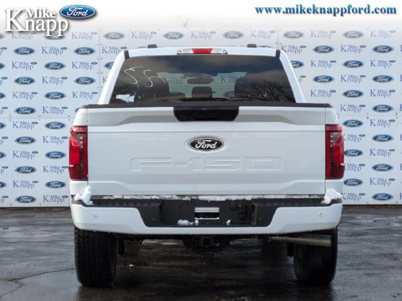 2025 Ford F-150 STX Photo