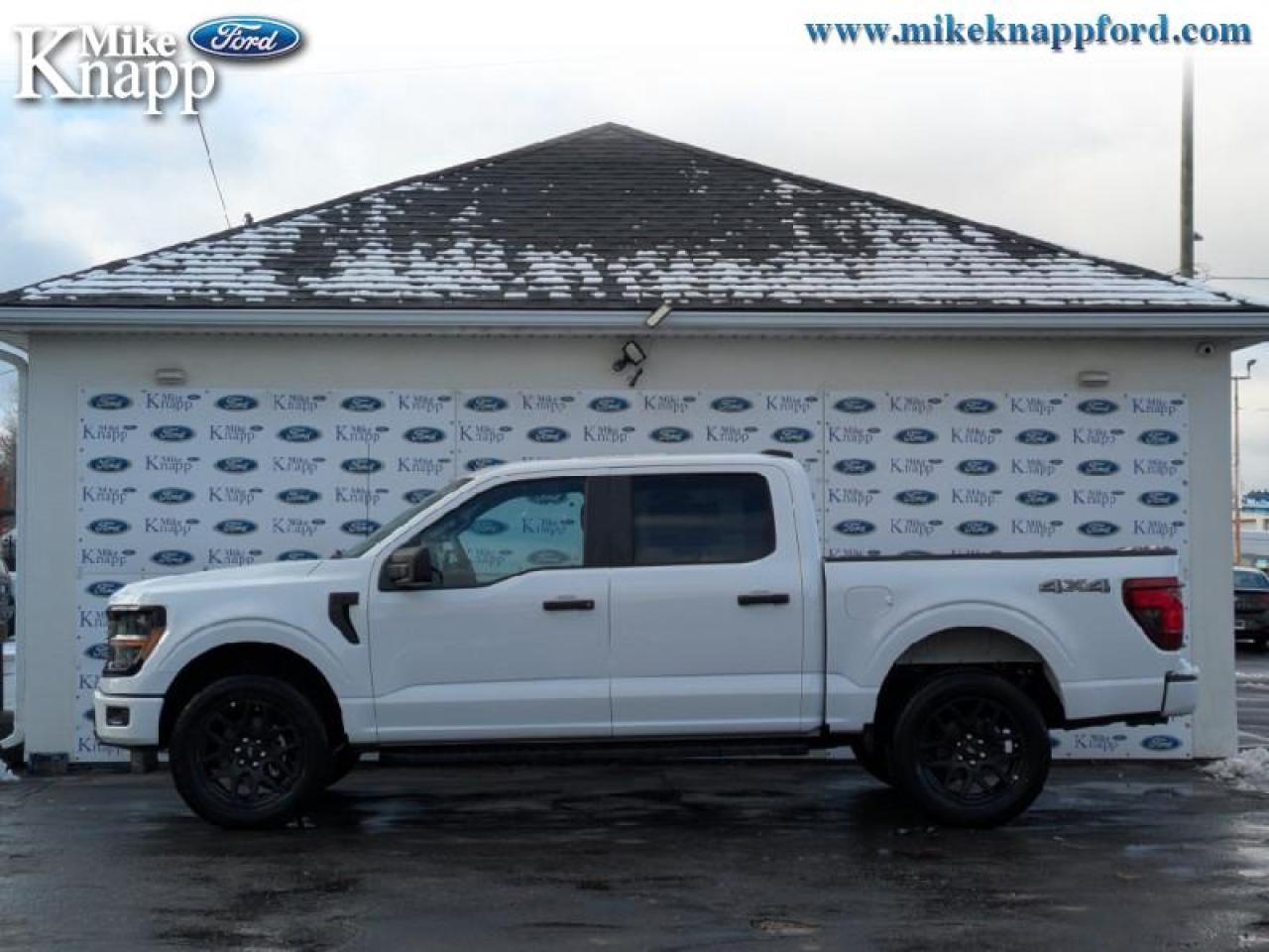 2025 Ford F-150 STX Photo