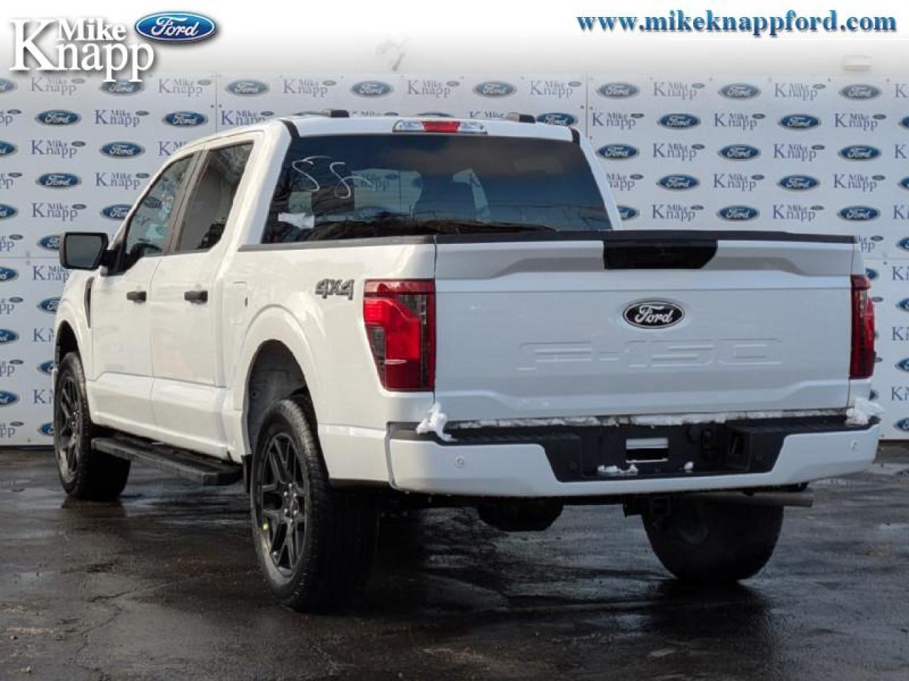 2025 Ford F-150 STX Photo2