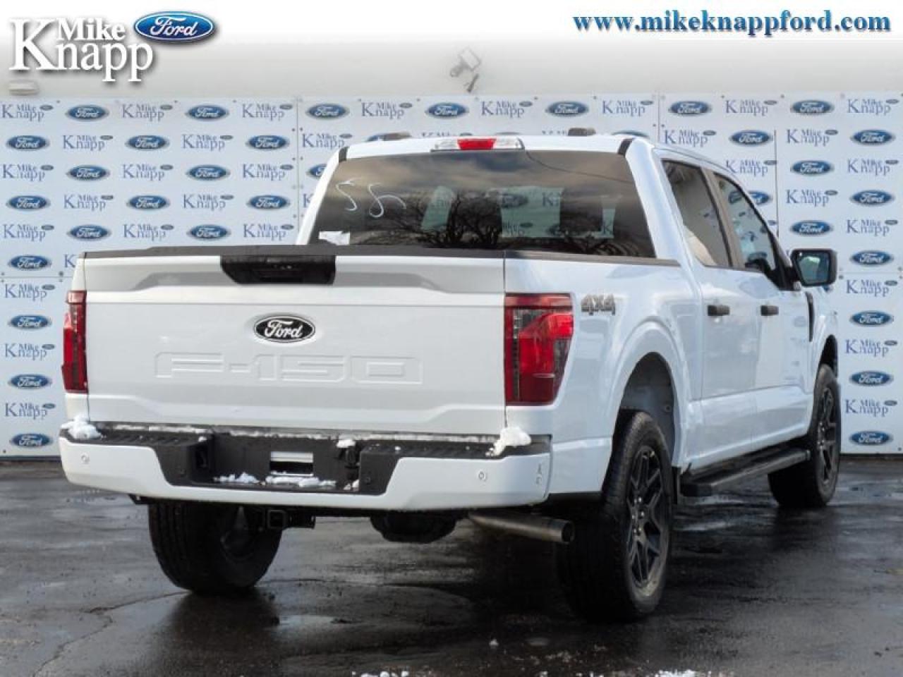 2025 Ford F-150 STX Photo