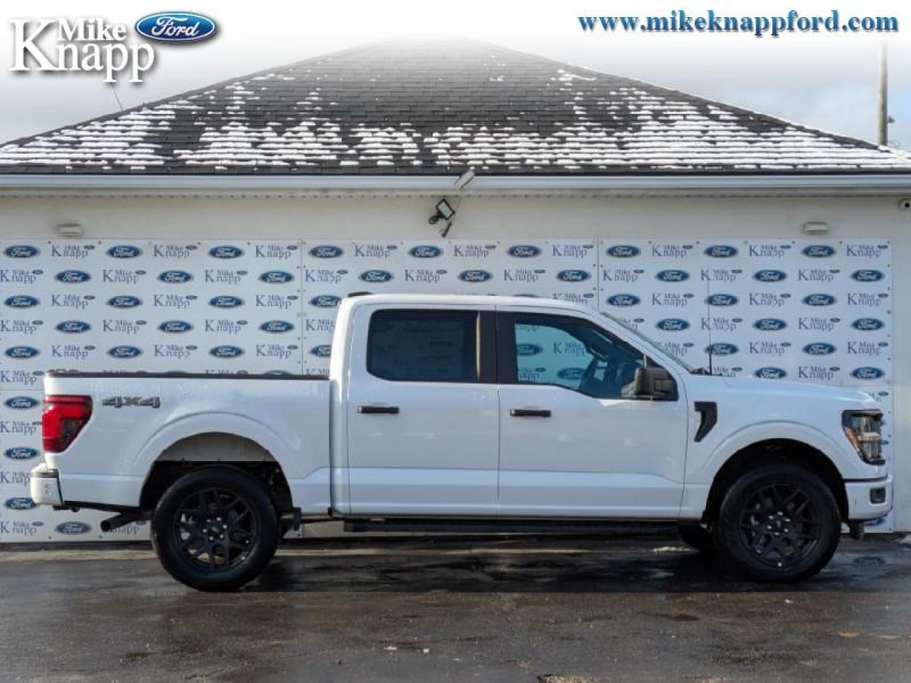 2025 Ford F-150 STX Photo