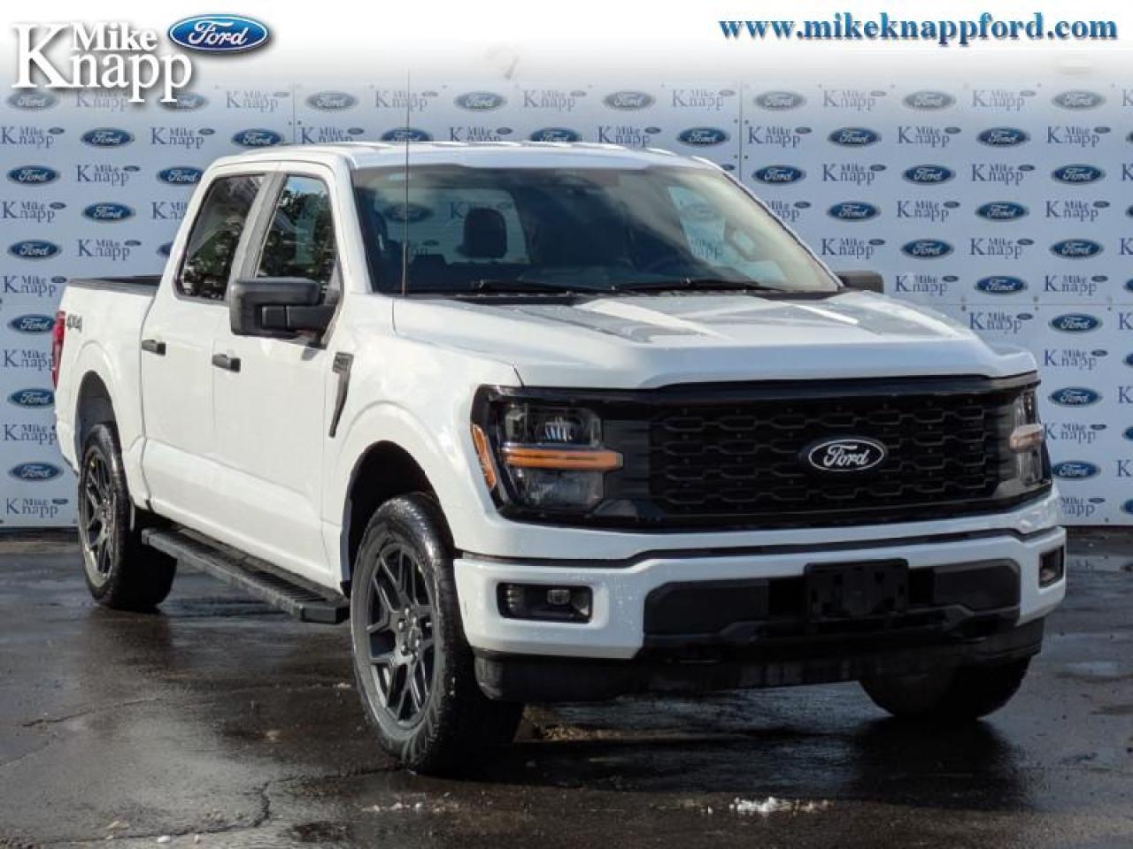 2025 Ford F-150 STX Photo