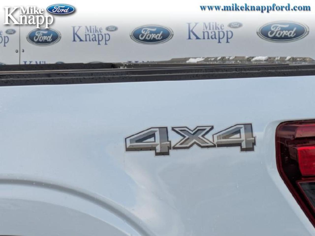 2025 Ford F-150 STX Photo